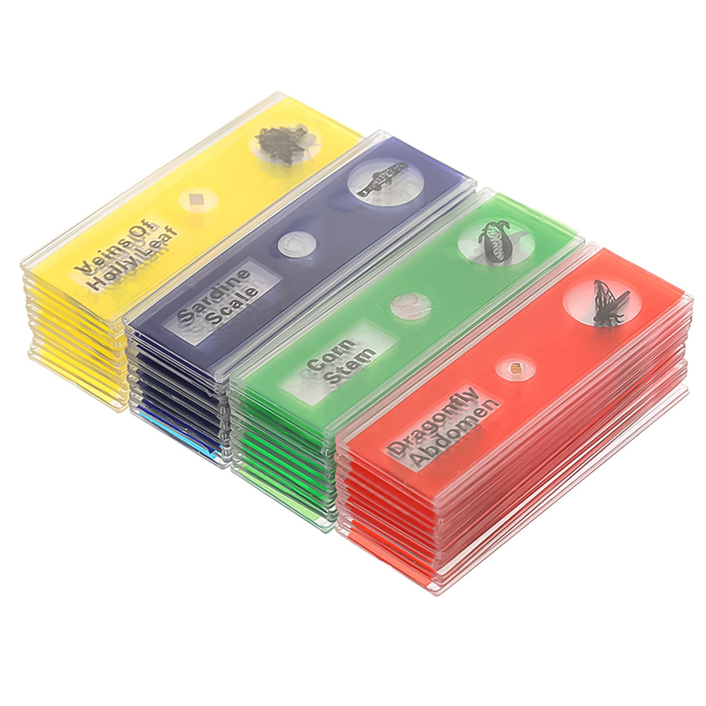 Kids Education Name - Conjunto de 24 Lâminas de Microscópio