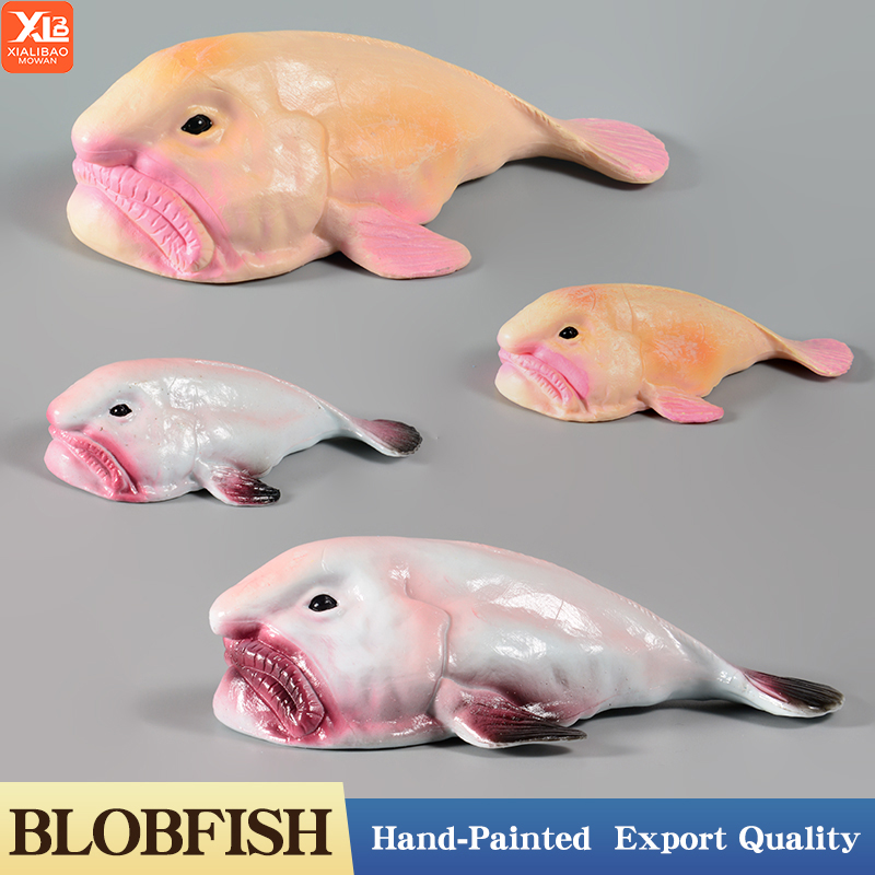 Kids Education In Australia - Austrália mar profundo blobfish psicrólutos marcidus