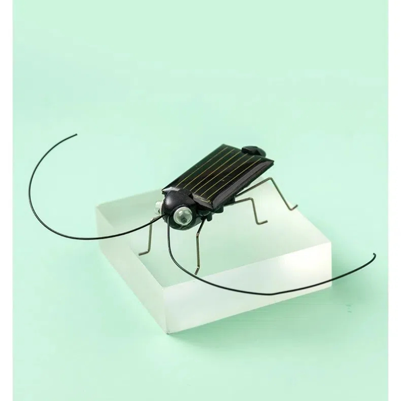 Kingdom Kids Education - Locust movido a energia solar gafanhoto