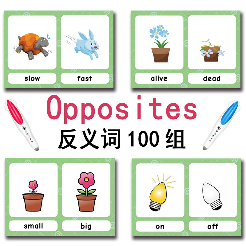 100 Cartões de Vocabulário em  - Kids Education Toy avaliação e preço