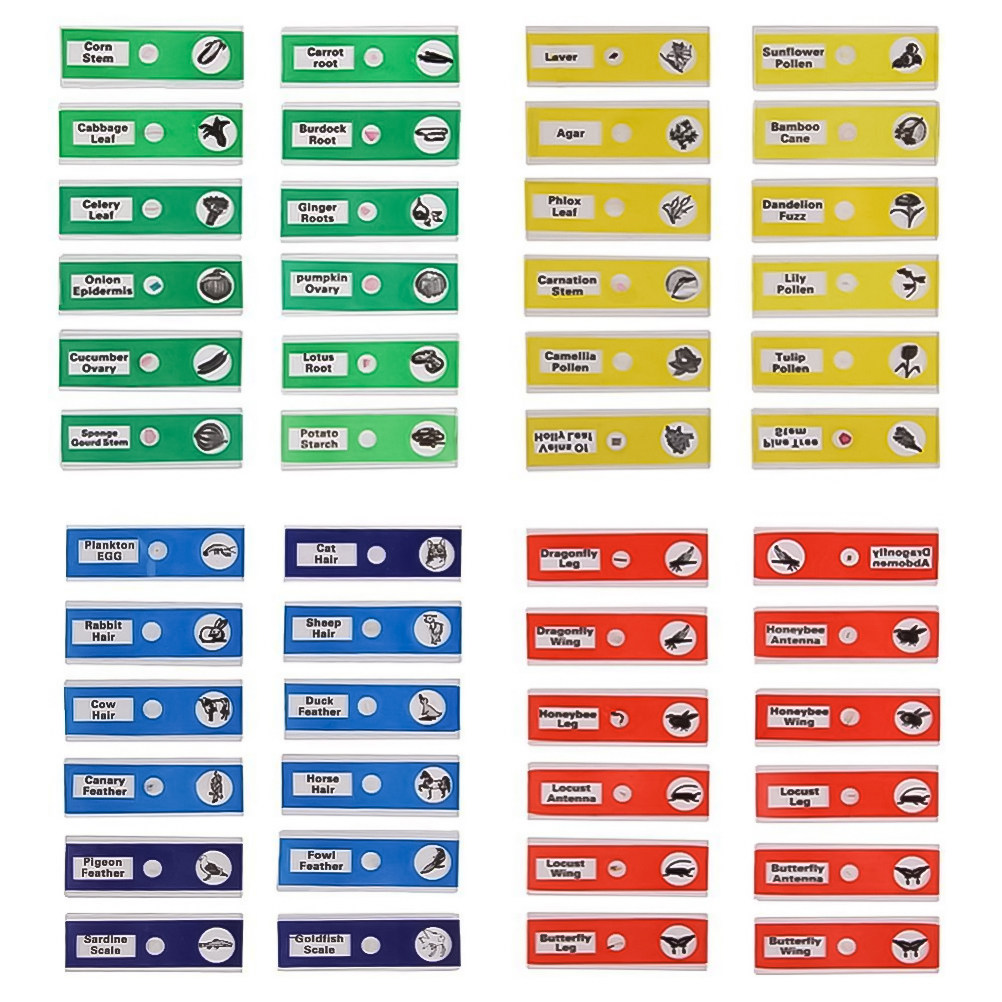 Conjunto de 24 Lâminas de Micr - Kids Education Name avaliação e preço