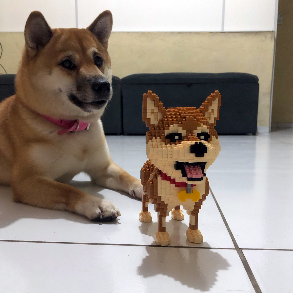 Jou construído shiba inu cães  - Kids Education Recreation avaliação e preço